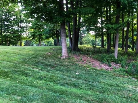 3641 Parfore Ct, Cincinnati, OH 45245 photo 7
