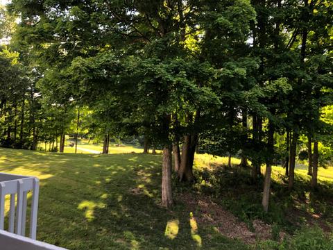 3641 Parfore Ct, Cincinnati, OH 45245 photo 31