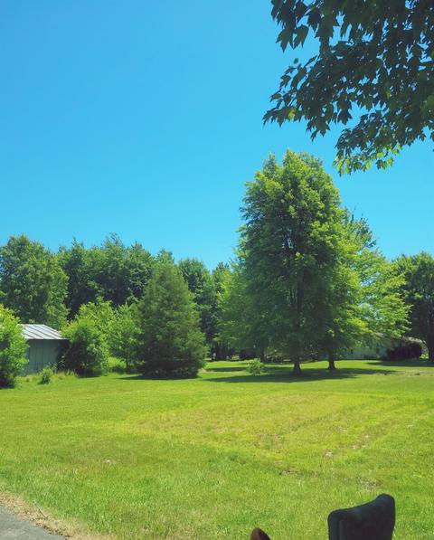 6874 Number Five Rd, Pleasant Plain, OH 45162 photo 7