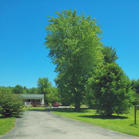 6874 Number Five Rd, Pleasant Plain, OH 45162 photo 4