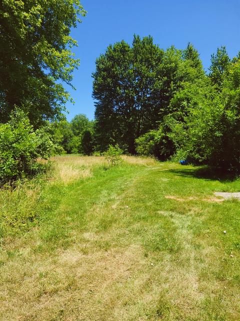 6874 Number Five Rd, Pleasant Plain, OH 45162 photo 11