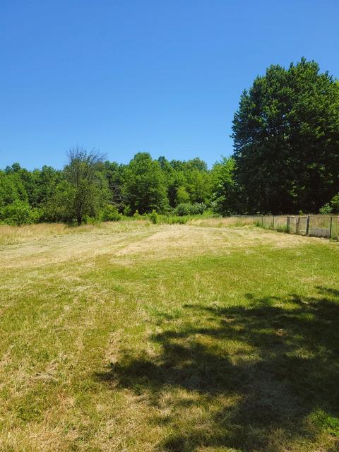 6874 Number Five Rd, Pleasant Plain, OH 45162 photo 10