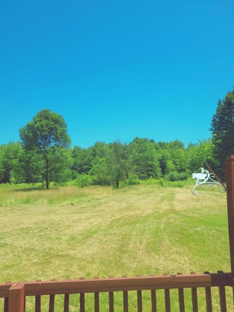 6874 Number Five Rd, Pleasant Plain, OH 45162 photo 9
