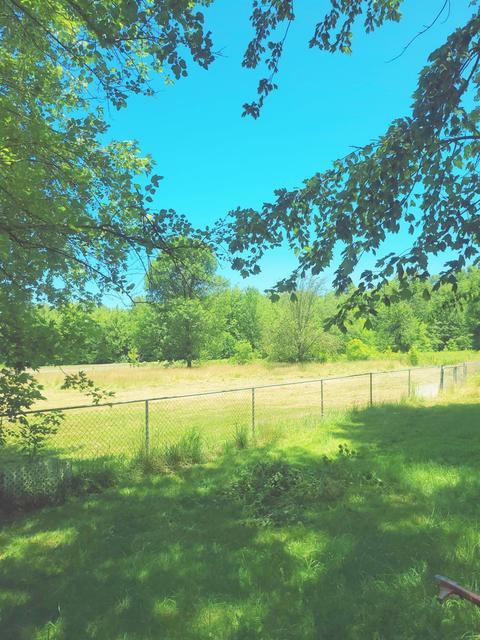 6874 Number Five Rd, Pleasant Plain, OH 45162 photo 12