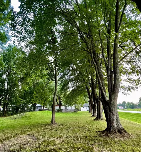 7226 Roberts Ln, Goshen Twp, OH 45162 photo 17