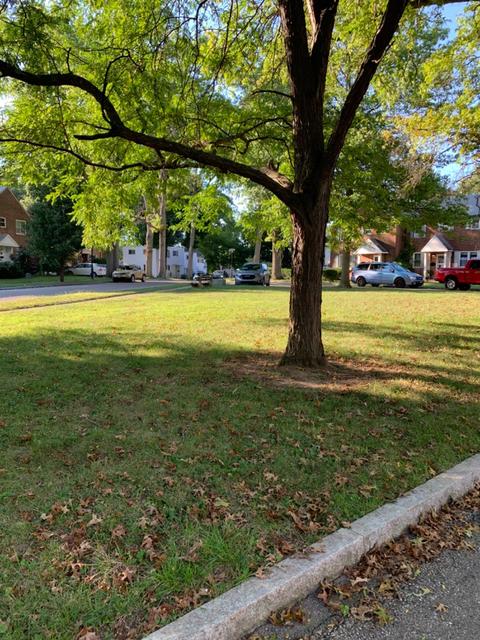 7 Belknap Pl, Greenhills, OH 45218 photo 43