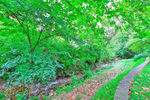 11330 Snider Rd, Cincinnati, OH 45249 photo 44