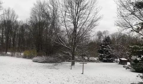 3041 Ireland Rd, Morrow, OH 45152 photo 25