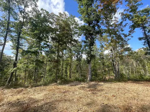 5714 St Rt 781 #LOT 9, Meigs Twp, OH 45660
