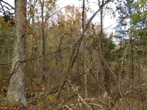 7135 Upper Dry Fork Rd, Madison, IN 47250 photo 19