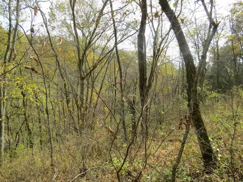 7135 Upper Dry Fork Rd, Madison, IN 47250 photo 20
