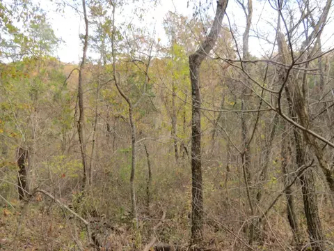 7135 Upper Dry Fork Rd, Madison, IN 47250 photo 15