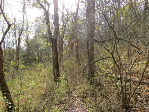 7135 Upper Dry Fork Rd, Madison, IN 47250 photo 17