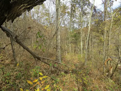7135 Upper Dry Fork Rd, Madison, IN 47250 photo 18