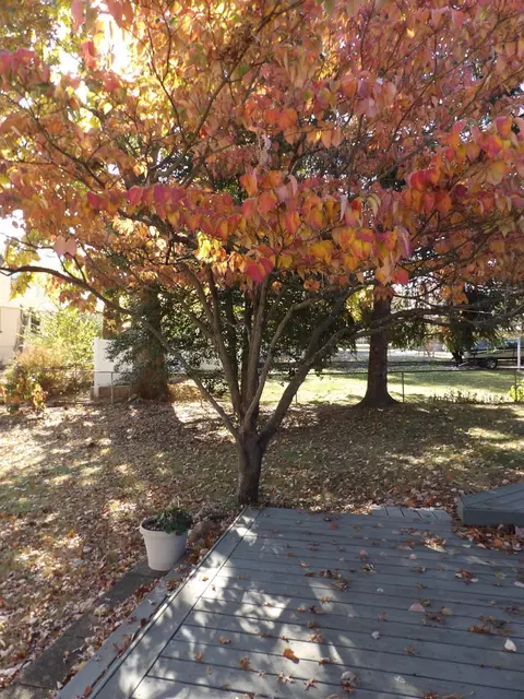 8002 Irwin Ave, Cincinnati, OH 45236 photo 41
