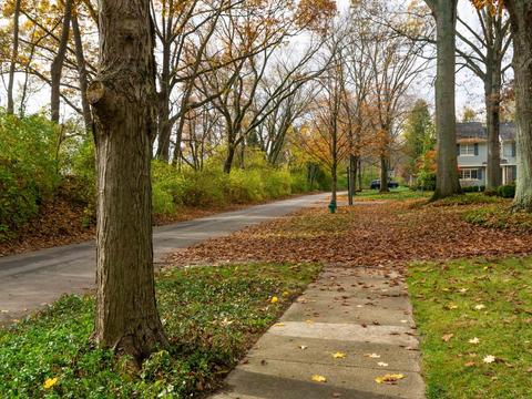 6704 Miami Bluff Dr, Mariemont, OH 45227 photo 41