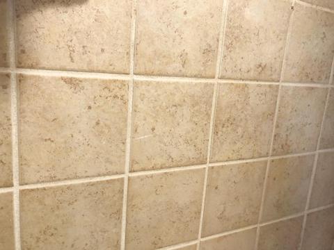 8786 Daly Rd, Cincinnati, OH 45231 photo 10