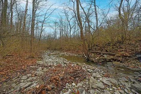 7731 Forest Rd, Cincinnati, OH 45255 photo 42