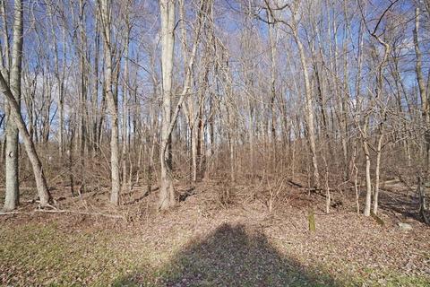 203 Deershadow Rd, Maineville, OH 45039 photo 27