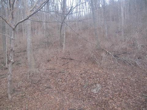 71 Anderson Ferry Rd, Cincinnati, OH 45238 photo 26