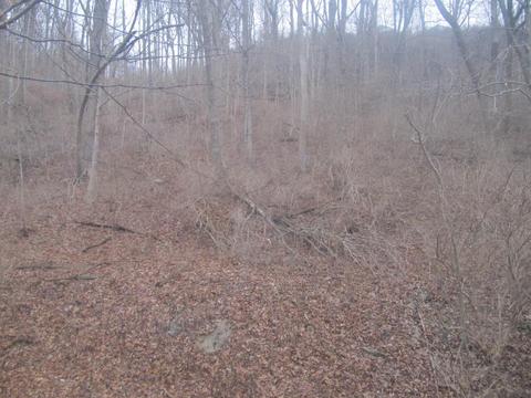 71 Anderson Ferry Rd, Cincinnati, OH 45238 photo 27