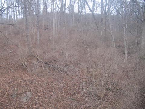 71 Anderson Ferry Rd, Cincinnati, OH 45238 photo 28