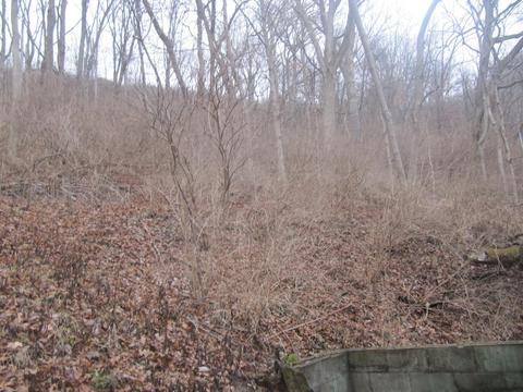 71 Anderson Ferry Rd, Cincinnati, OH 45238 photo 30