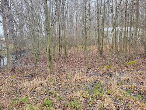 2846 Oak Tree, Williamsburg Township, OH 45176
