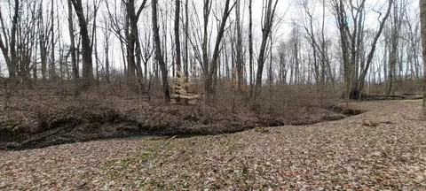 1720 Reeder Rd, Blanchester, OH 45107 photo 30