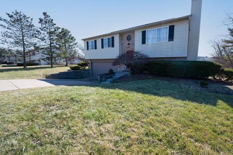 1557 Mandarin Dr, Forest Park, OH 45240 photo 3