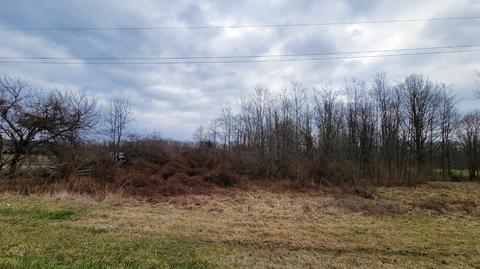 746 Sicily Rd, Clay Twp, OH 45154 photo 9