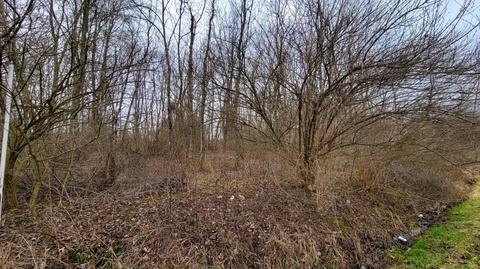 746 Sicily Rd, Clay Twp, OH 45154 photo 4