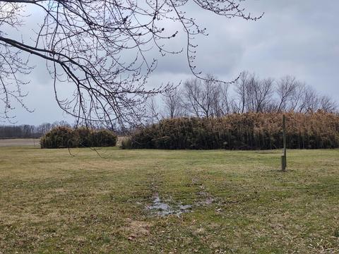 531 St Rt 28, Blanchester, OH 45107 photo 19