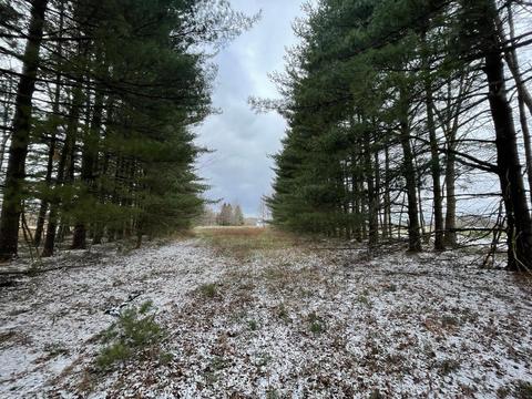3456 Certier Rd, Sardinia, OH 45171 photo 37