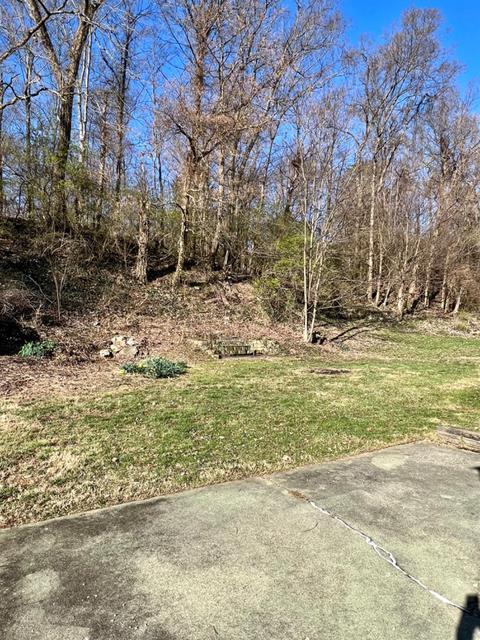 779 Wilbud Dr, Cincinnati, OH 45205 photo 19
