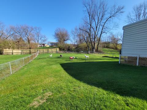 12114 Westerly Dr, Cincinnati, OH 45231 photo 4