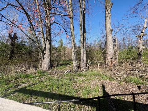 423 Wright St, Blanchester, OH 45107 photo 23