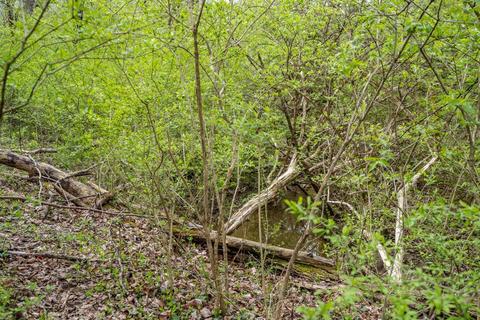 8305 Blome Rd, Cincinnati, OH 45243 photo 37