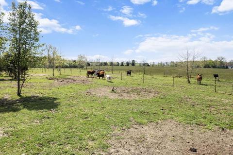 6866 Johnson Rd, Blanchester, OH 45107 photo 36
