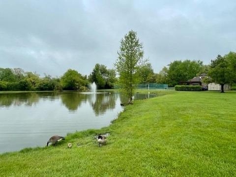537 Davis Rd #12, Cincinnati, OH 45255 photo 7