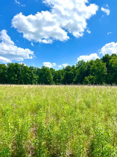 0 Swope Rd, Bethel, OH 45106