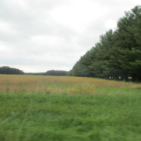10 Foster Maineville Rd, Hamilton Twp, OH 45152