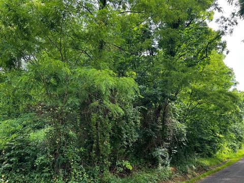 0 Polley Rd, Winchester Twp, OH 45697