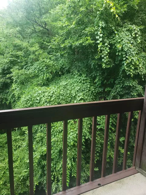 2121 Sutton Ave #4A, Cincinnati, OH 45230 photo 29