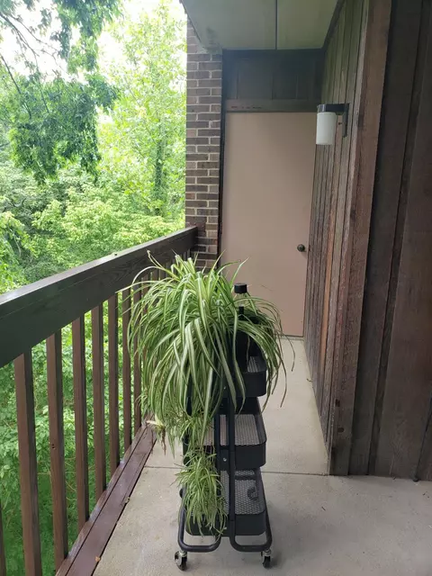 2121 Sutton Ave #4A, Cincinnati, OH 45230 photo 13
