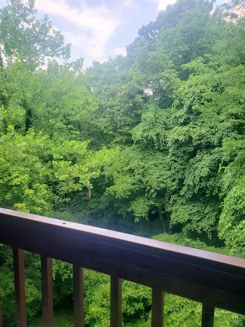 2121 Sutton Ave #4A, Cincinnati, OH 45230 photo 28