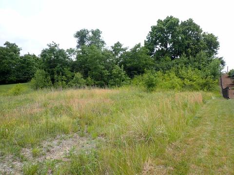 3985 Clearpoint, Cincinnati, OH 45247