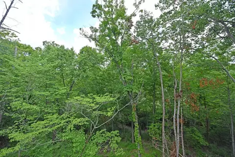 8922 Appleseed Dr, Cincinnati, OH 45249 photo 45