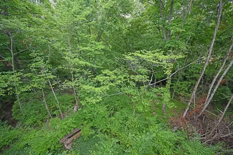 8922 Appleseed Dr, Cincinnati, OH 45249 photo 44