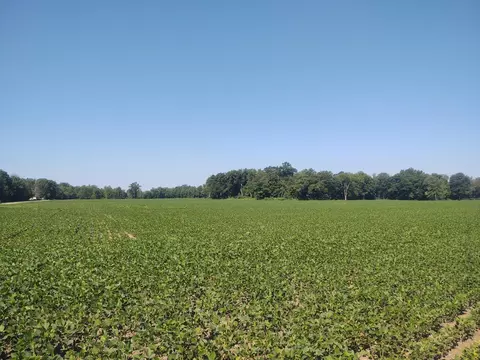 1 Macedonia Rd, Washington Twp, OH 45107